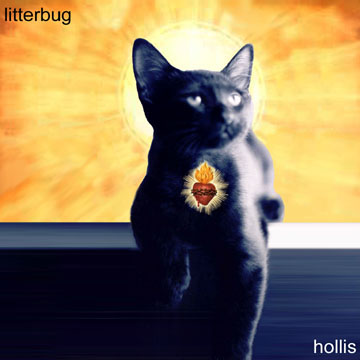 hollis album cover magnet